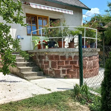 Bicik-lak